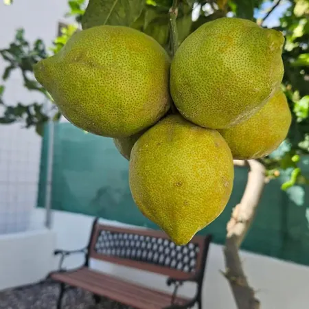 Casa de Férias Casa Tina *