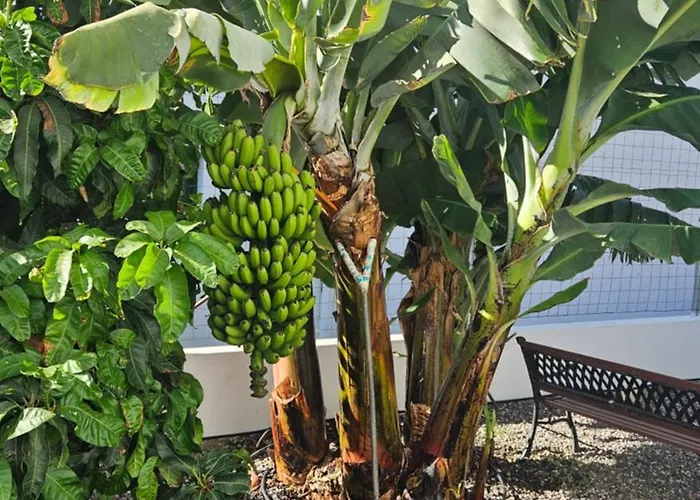 Casa Tina Casa vacanze *