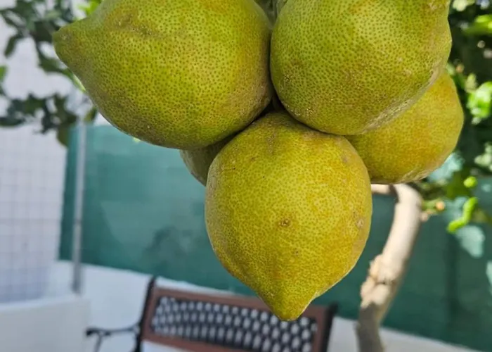 Holiday home Casa Tina *