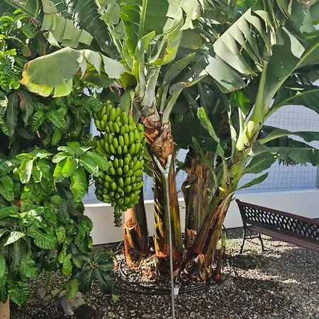 Casa Tina Дом отдыха *