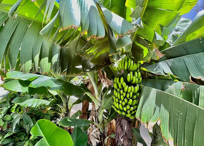 Сasa de vacaciones Casa Tina